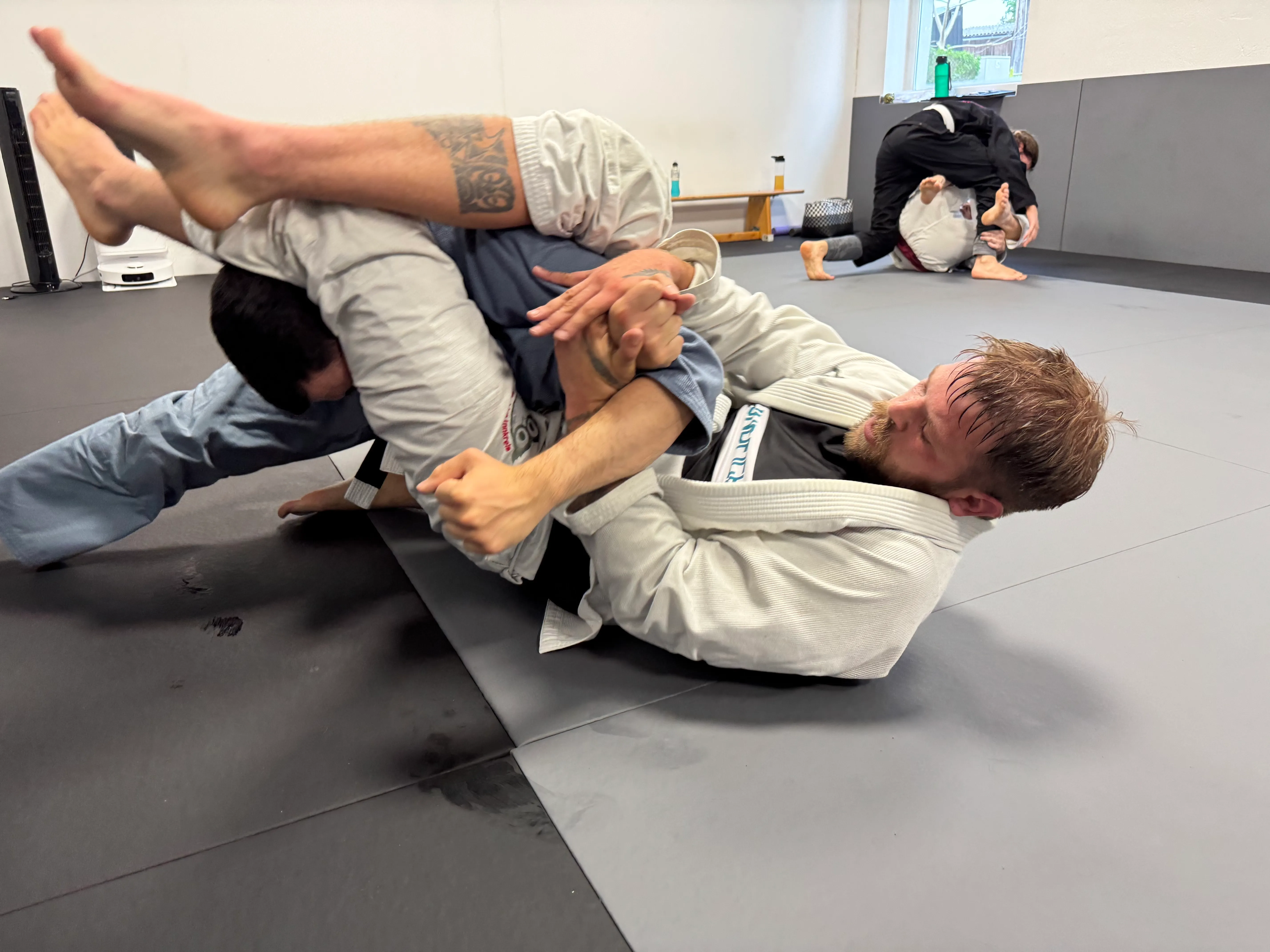 Training: Brazilian Jiu-Jitsu
