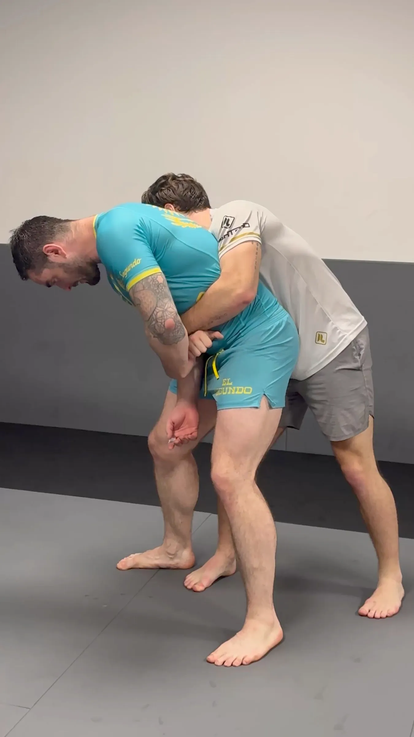 Training: Ringen